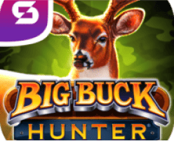 Big Buck Hunter